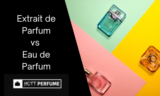 extrait-de-parfum-vs-eau-de-parfum-understanding-the-key-differences.png
