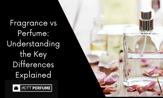 fragrance-vs-perfume-understanding-the-key-differences-explained-1-.png