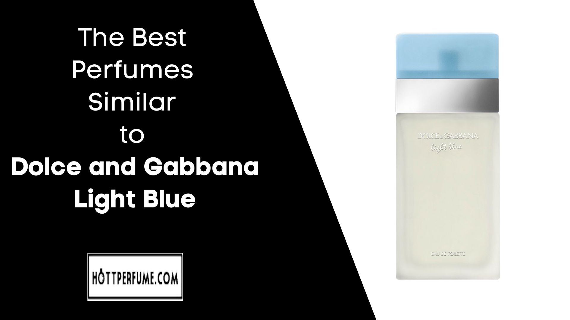 The Best Perfumes Similar to Dolce and Gabbana Light Blue