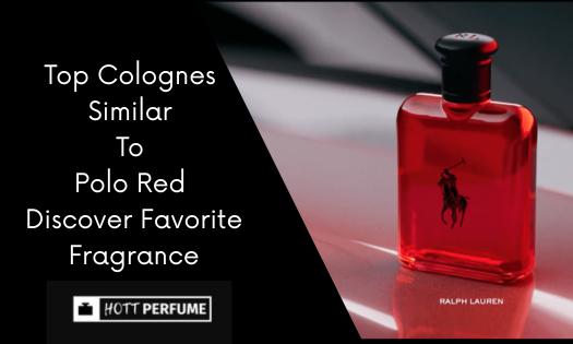 top-colognes-similar-to-polo-red-discover-favorite-fragrance-1-.png