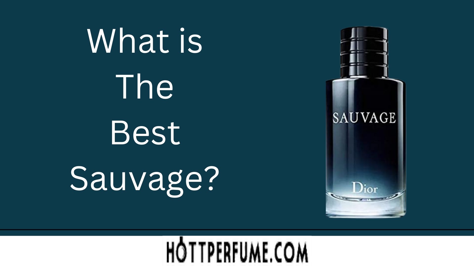 What is The Best Sauvage