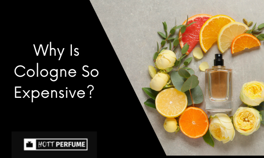 Why Is Cologne So Expensive? why-is-cologne-so-expensive.png